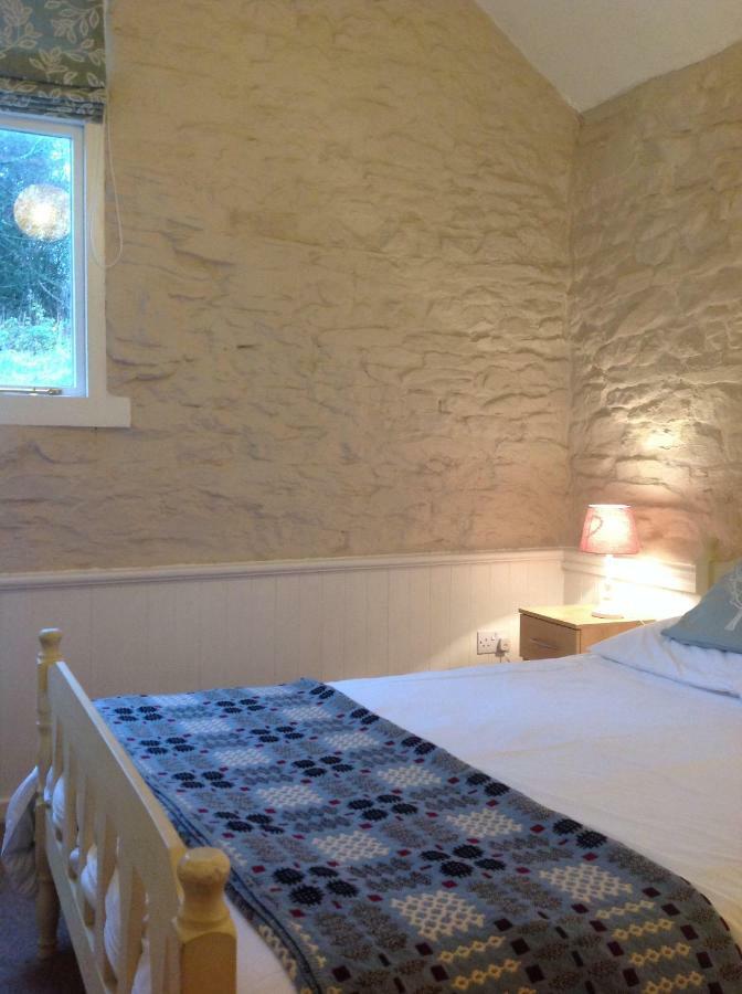 Cwmtwrch Cottage 卡马森 外观 照片